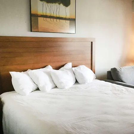 Hotel Super 8 By Wyndham Petoskey
